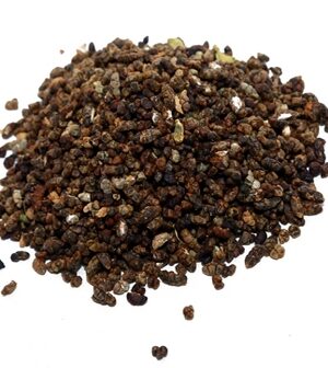 Cardamom Seed