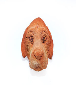Coconut Head Dog Face