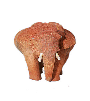 Coconut Husk Elephant