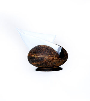 Coconut Shell – Napkin Holder