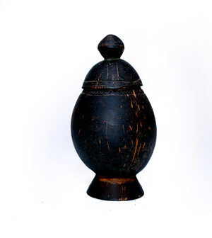 Coconut Shell Pot